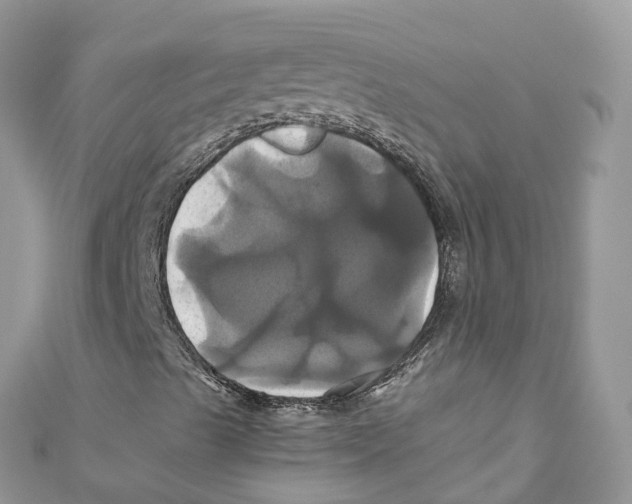 X0000110991489200907171741