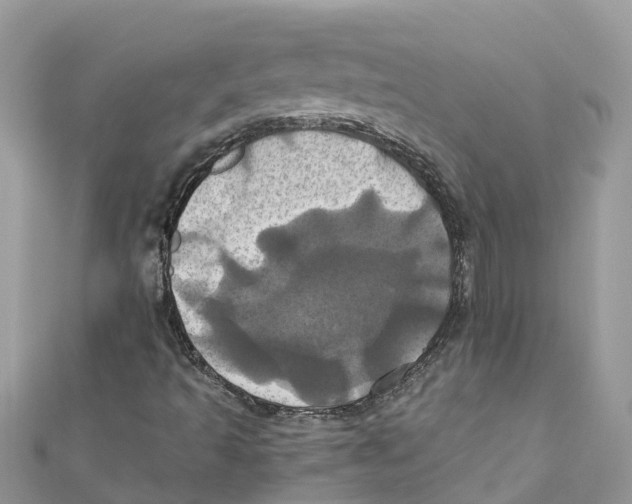 X0000110991493200907171741