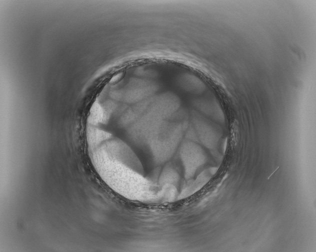 X0000110991494200907171741
