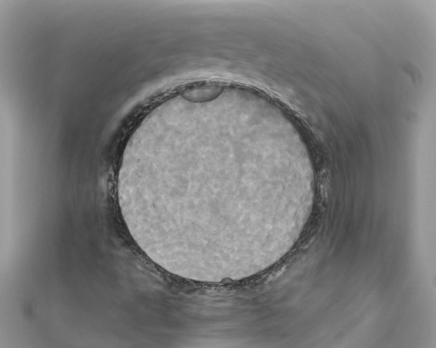 X0000110991495200907171741