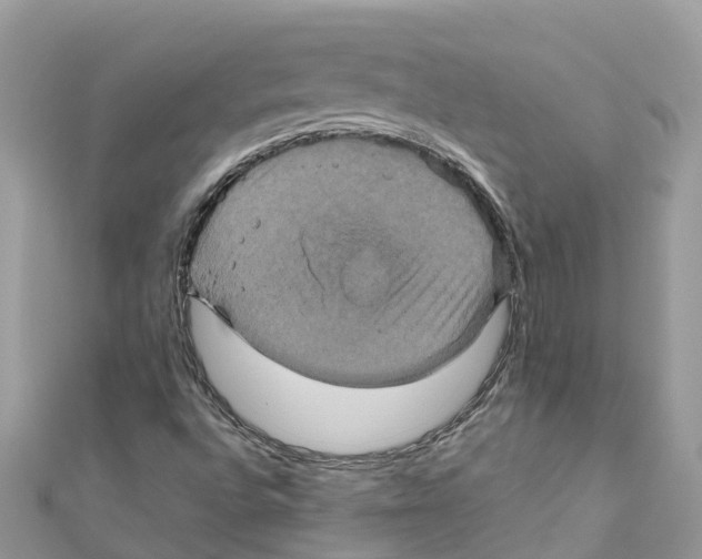 X0000110991496200907171741
