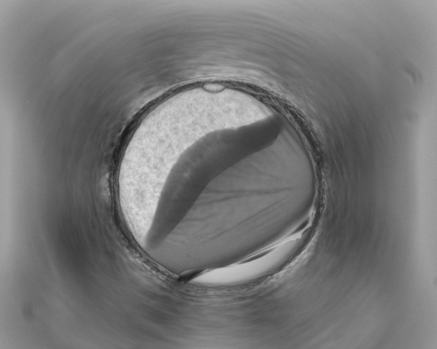 X0000110991497200907171741