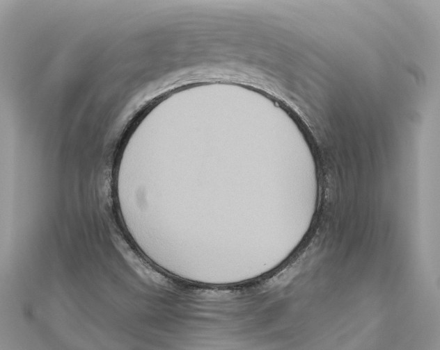 X0000110991499200907171741
