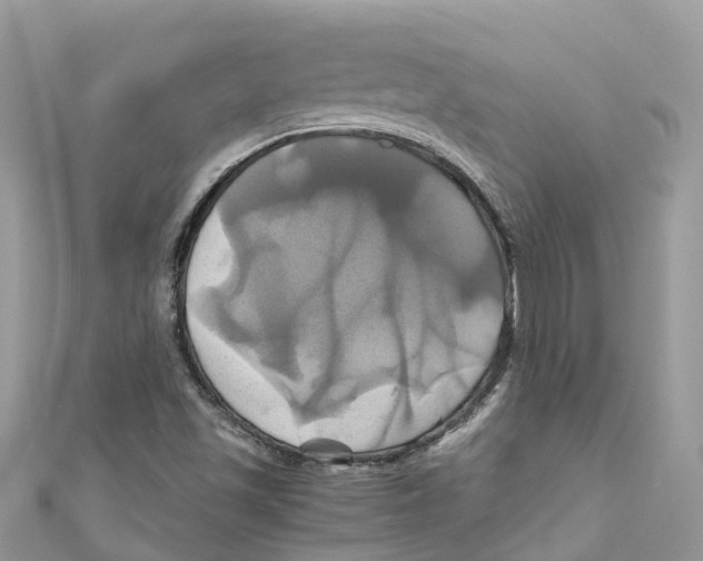 X0000110991501200907171741