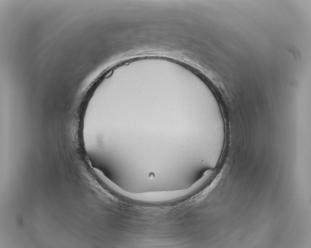 X0000110991502200907171741