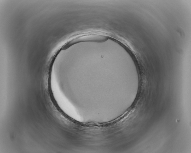 X0000110991504200907171741