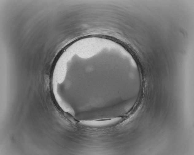 X0000110991505200907171741