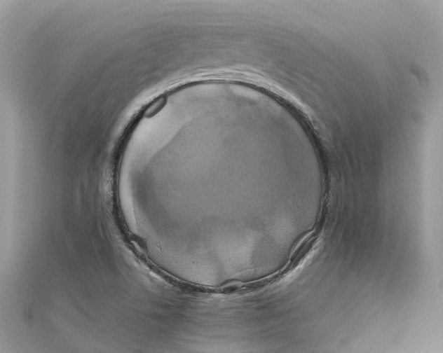 X0000110991506200907171741