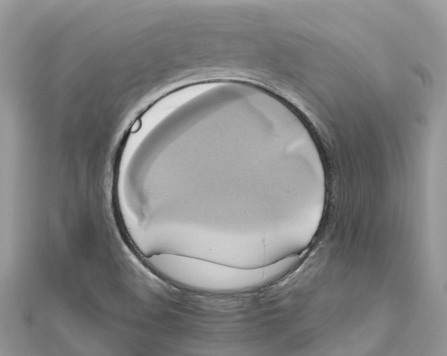 X0000110991508200907171741