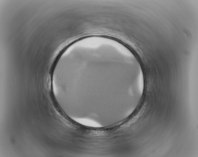X0000110991509200907171741