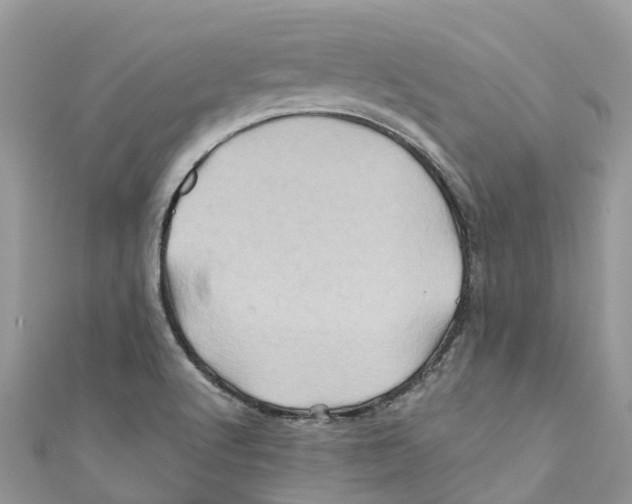 X0000110991512200907171741
