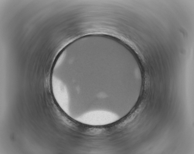 X0000110991513200907171741