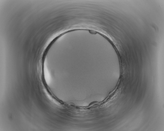 X0000110991515200907171741