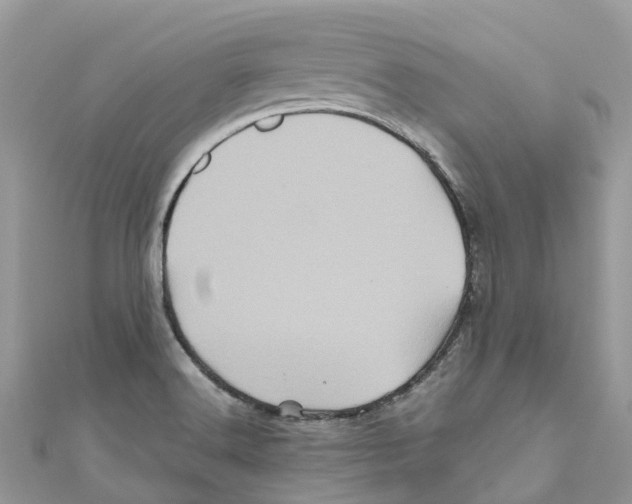X0000110991516200907171741