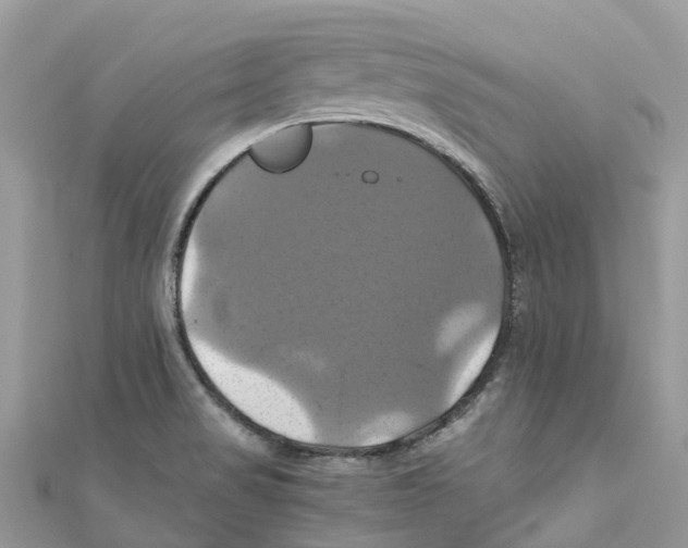 X0000110991517200907171741