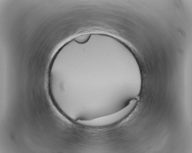 X0000110991518200907171741