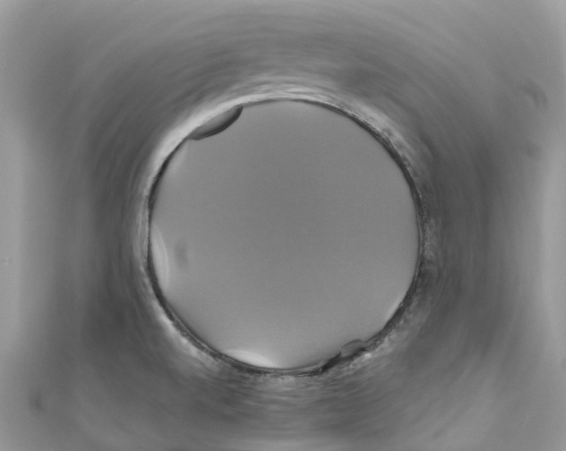 X0000110991520200907171741