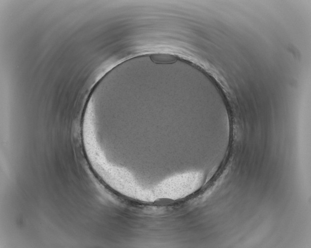X0000110991521200907171741