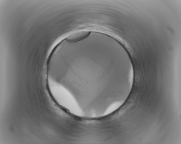 X0000110991522200907171741