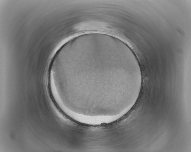 X0000110991523200907171741