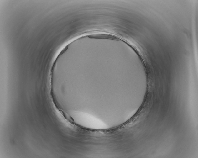 X0000110991524200907171741