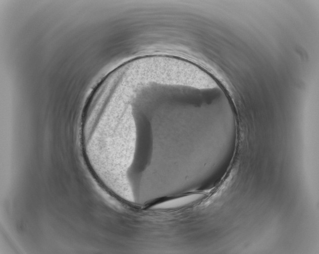X0000110991525200907171741