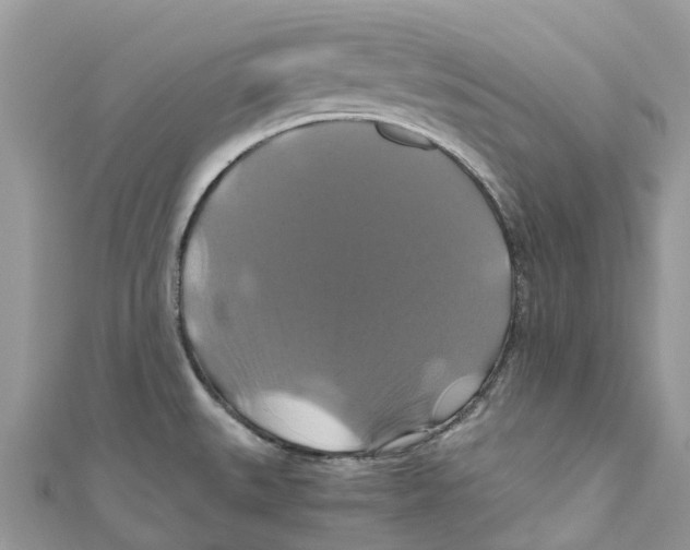 X0000110991527200907171741