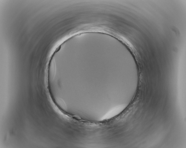 X0000110991528200907171741