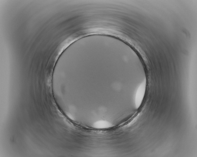 X0000110991529200907171741
