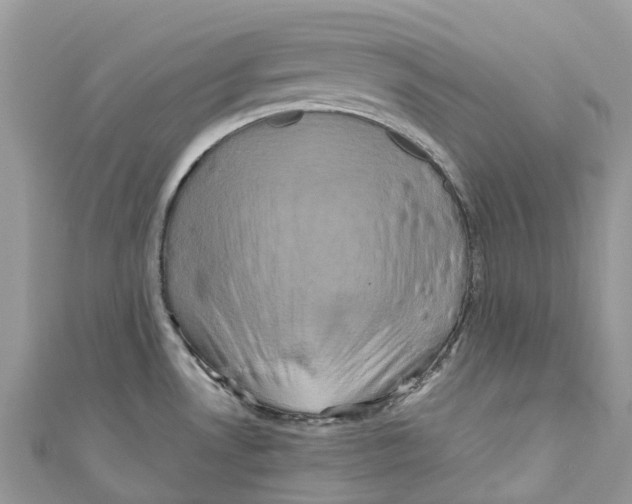 X0000110991530200907171741