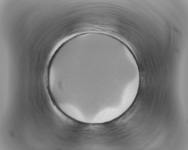 X0000110991531200907171741