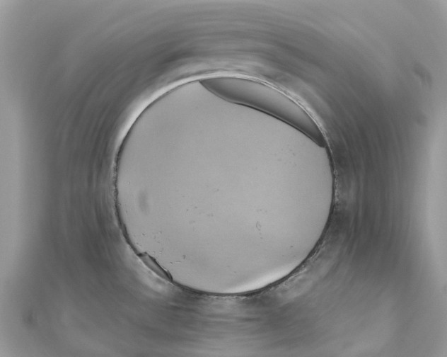 X0000110991532200907171741