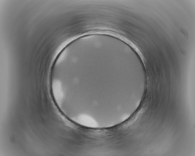 X0000110991533200907171741