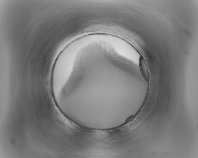 X0000110991536200907171741