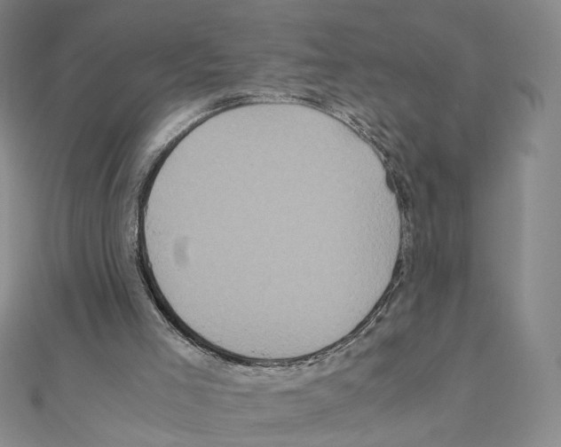 X0000110990005200907311020