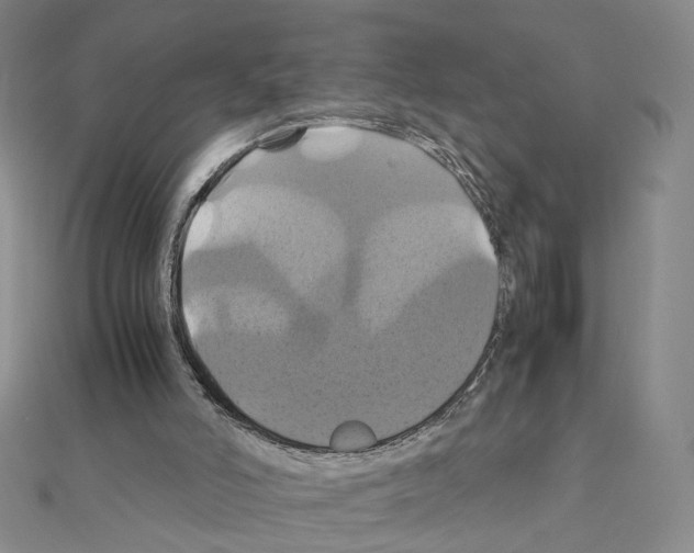 X0000110990006200907311020