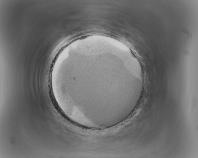 X0000110990007200907311020