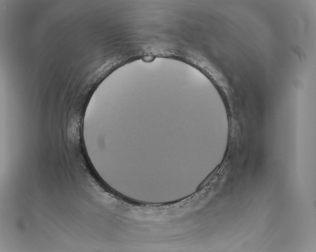 X0000110990009200907311020
