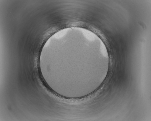 X0000110990010200907311020