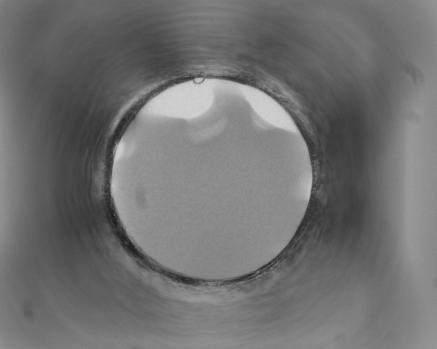 X0000110990012200907311019
