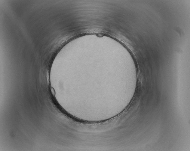 X0000110990013200907311019