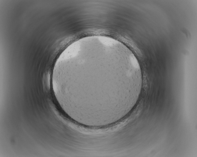 X0000110990014200907311019