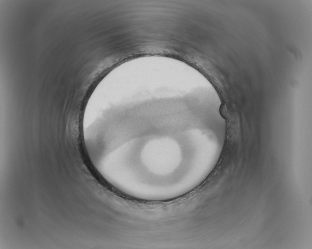 X0000110990015200907311019