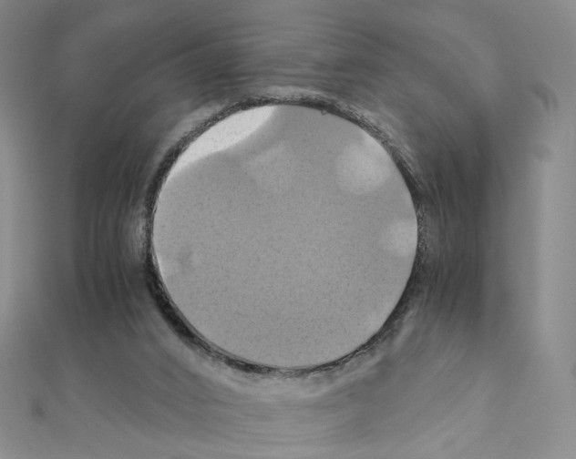 X0000110990016200907311019