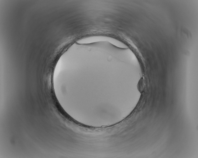 X0000110990019200907311019