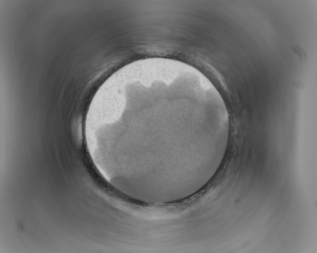 X0000110990020200907311019