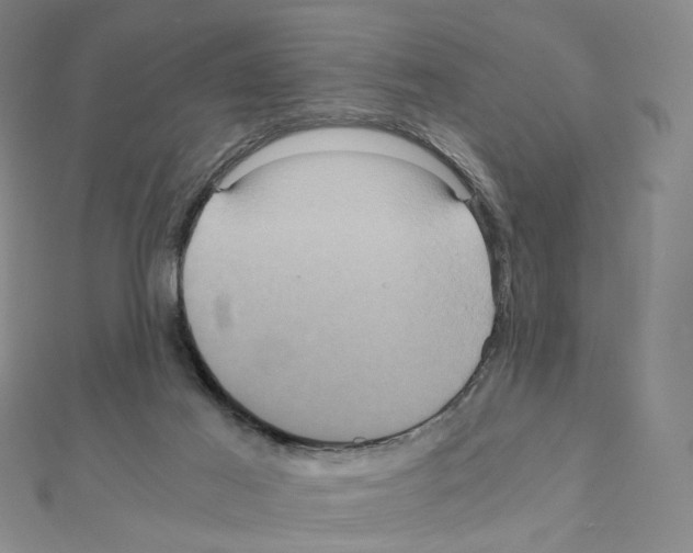 X0000110990021200907311019