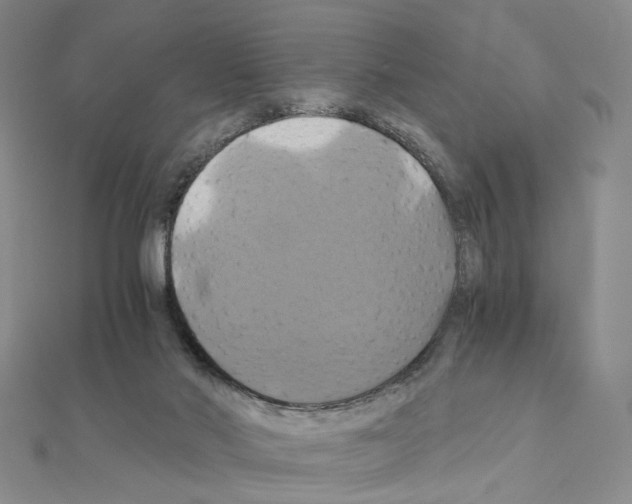 X0000110990022200907311019