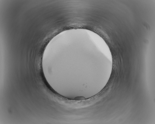 X0000110990023200907311019