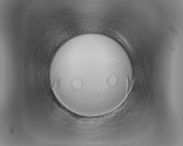 X0000110990025200907311019
